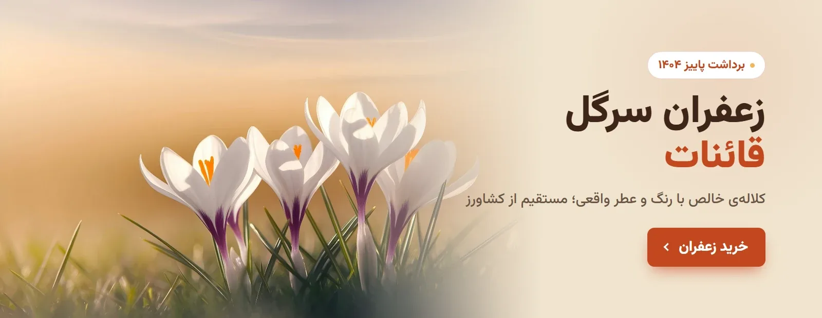 زعفران سرگل قائنات