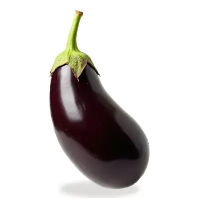 بادمجان دلمه‌ای (۱ کیلوگرم)
