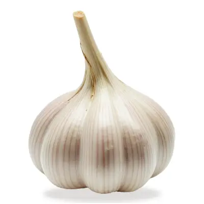 سیر همدان (۵۰۰ گرم)