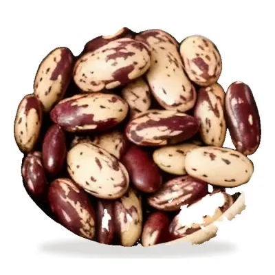 لوبیا چیتی خمین (۹۰۰ گرم)