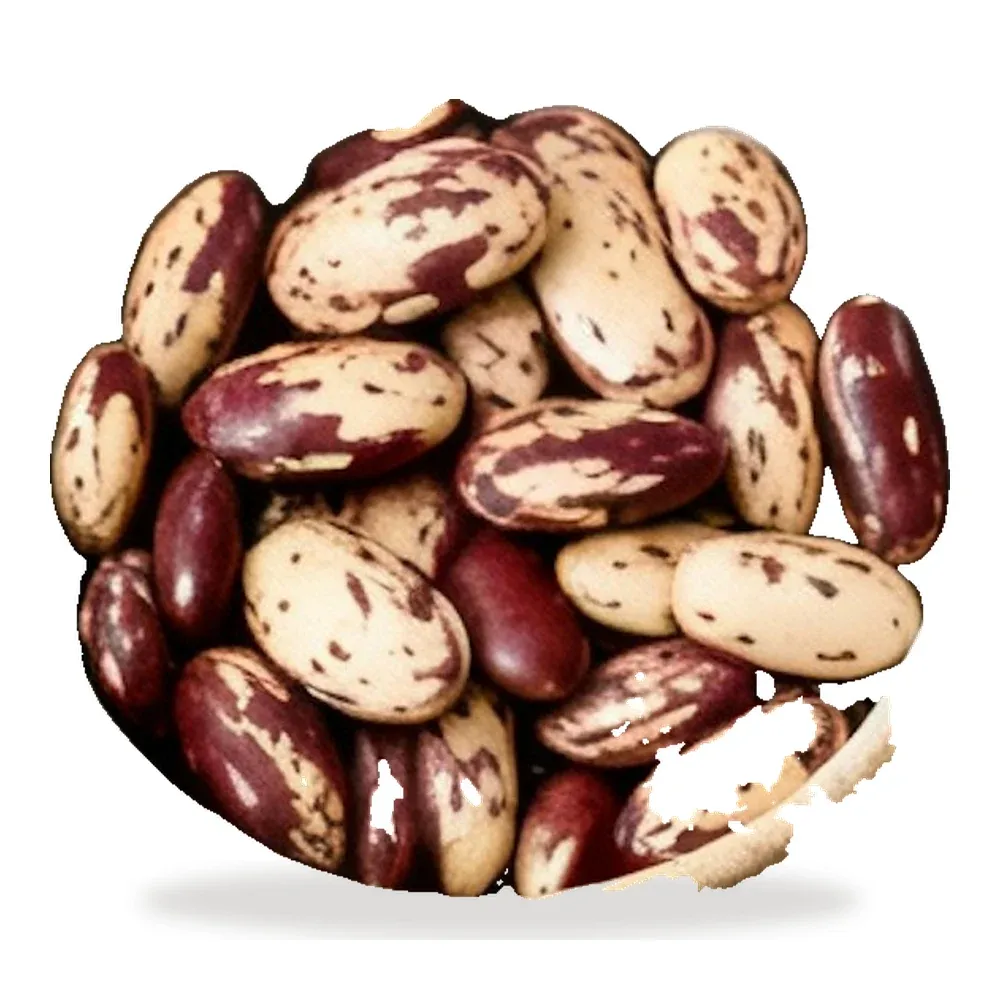 لوبیا چیتی خمین (۹۰۰ گرم)
